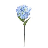 Hortensia blå 56 cm